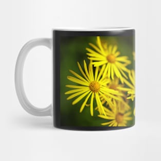 Wild yellow daisies Mug